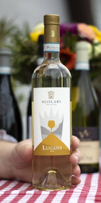 Scolari Lugana Weinprobe